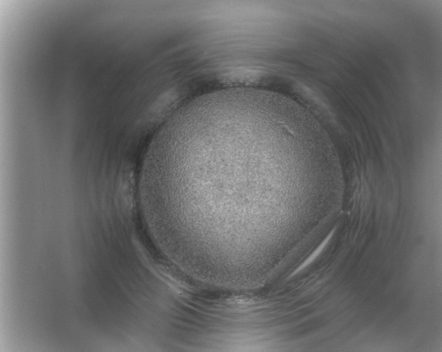 X0000067480498200604150020