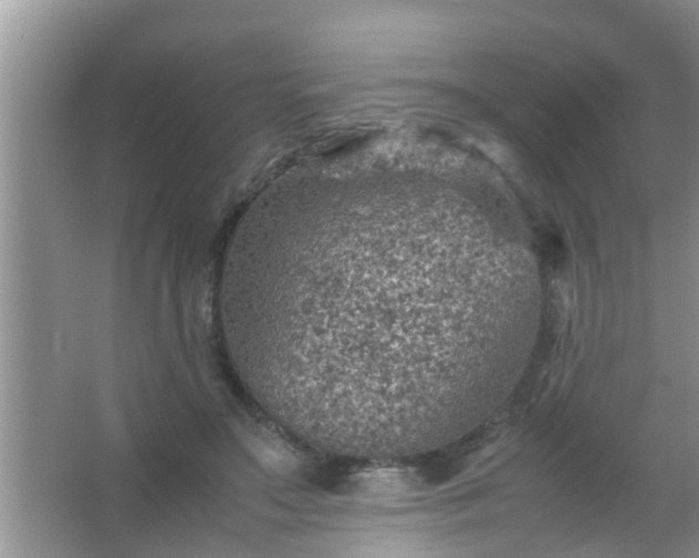 X0000067480499200604150020