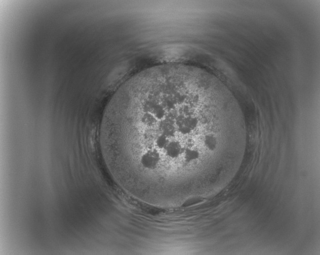 X0000067480503200604150020