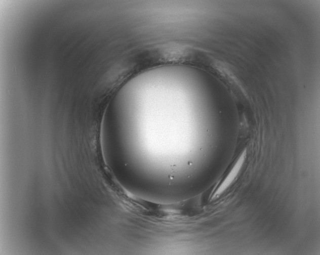 X0000067480505200604150019