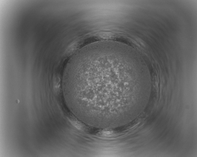 X0000067480507200604150019