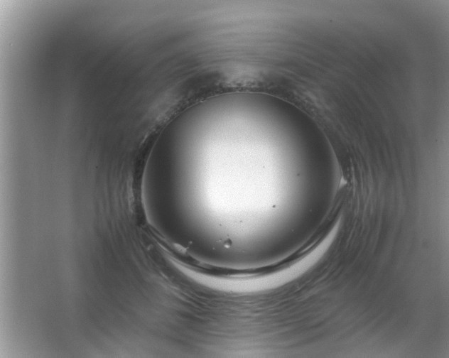 X0000067480508200604150019