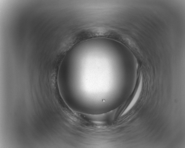 X0000067480509200604150019