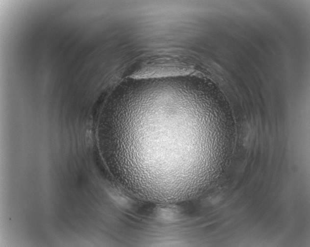 X0000067480510200604150019