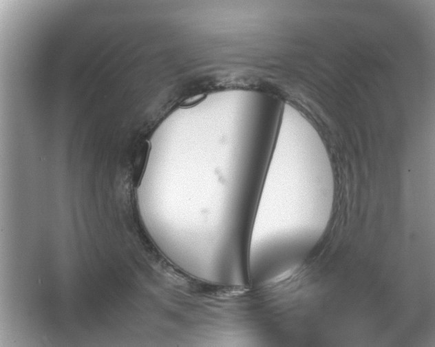 X0000067480513200604150019