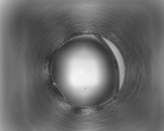 X0000067480516200604150019