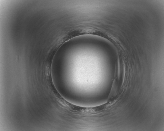 X0000067480517200604150019