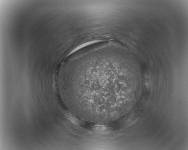 X0000067480519200604150019