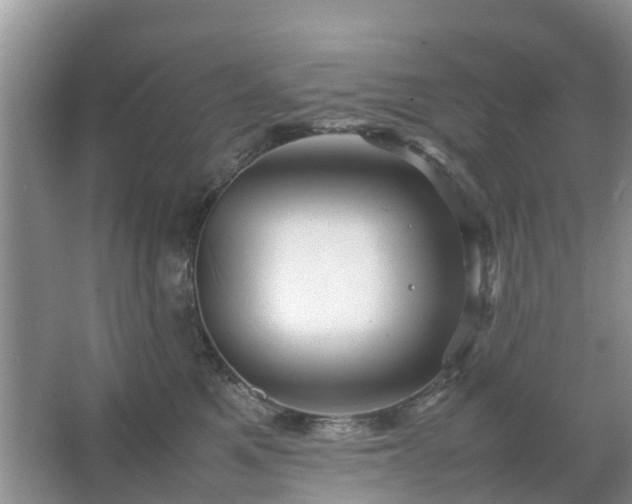 X0000067480521200604150019