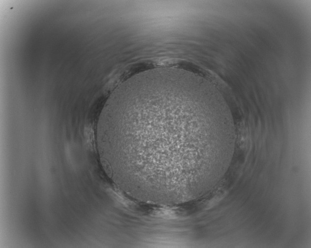 X0000067480523200604150019