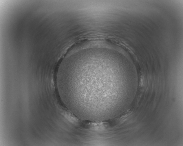 X0000067480524200604150019