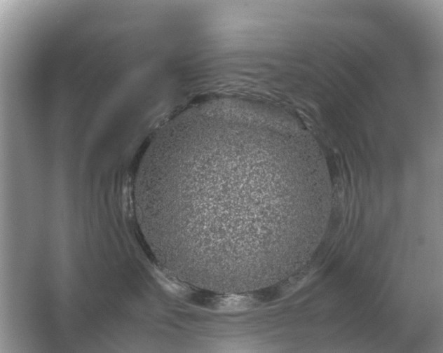 X0000067480527200604150019