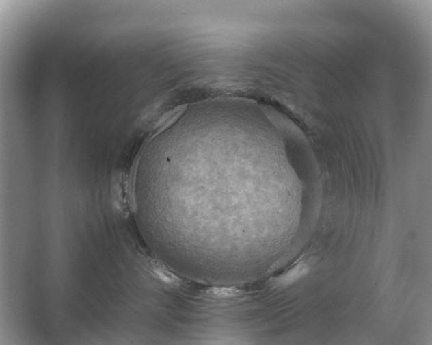 X0000067480528200604150019