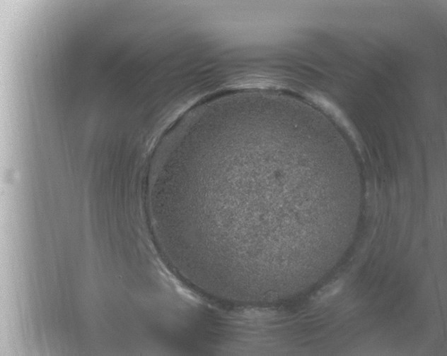 X0000067480529200604150018