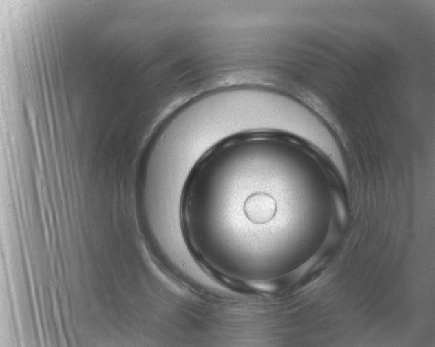 X0000067480530200604150018