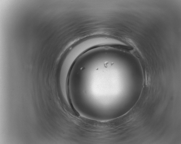 X0000067480531200604150018