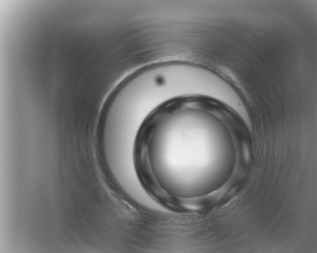 X0000067480532200604150018