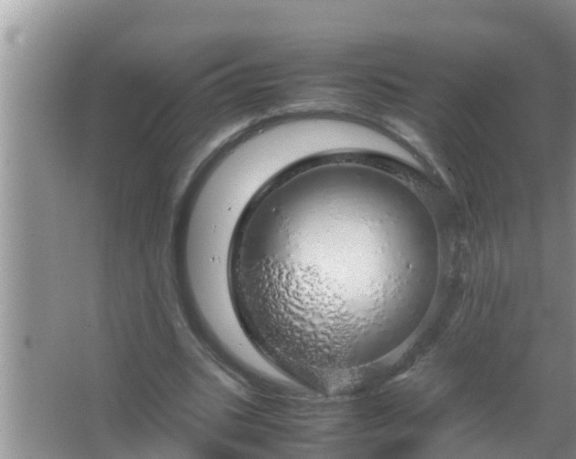 X0000067480535200604150018