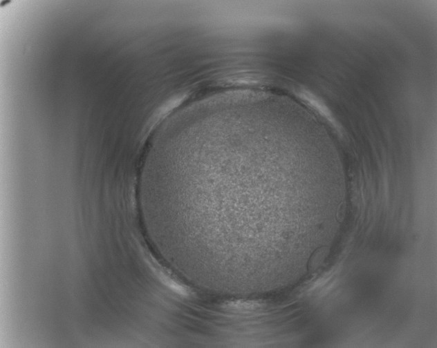 X0000067480537200604150018