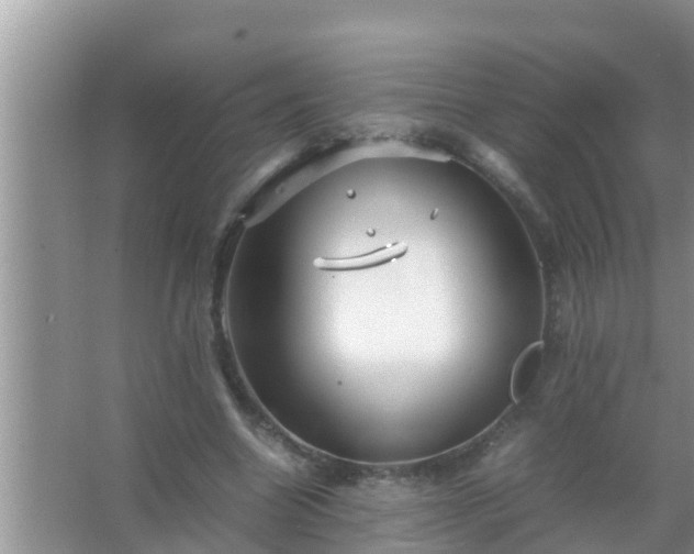 X0000067480538200604150018