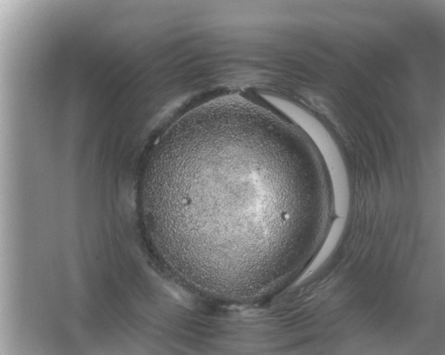 X0000067480539200604150018