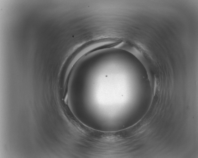 X0000067480540200604150018