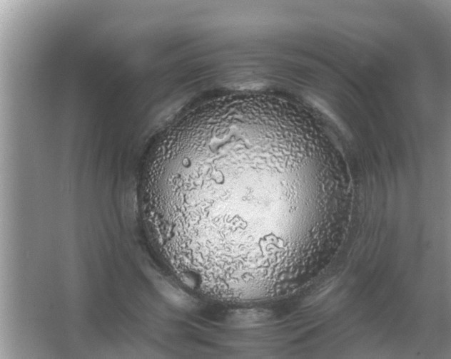 X0000067480541200604150018