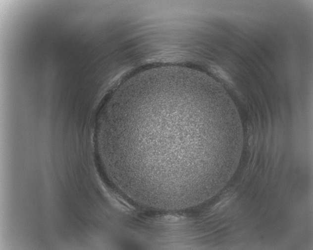 X0000067480542200604150019