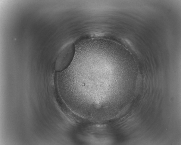 X0000067480543200604150019