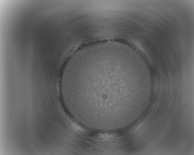 X0000067480545200604150019