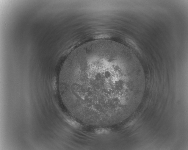 X0000067480549200604150019