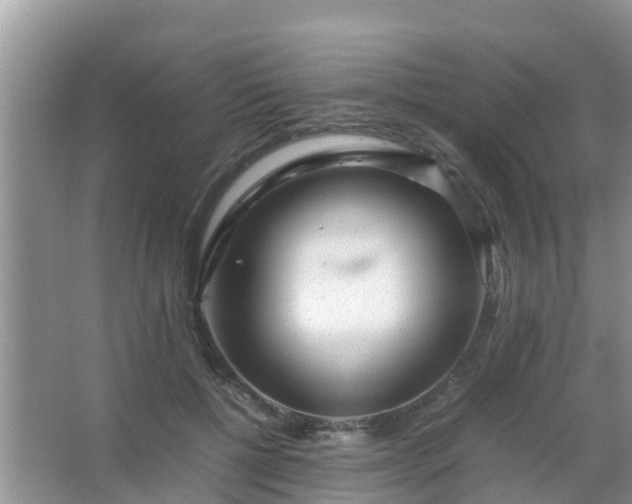 X0000067480552200604150019