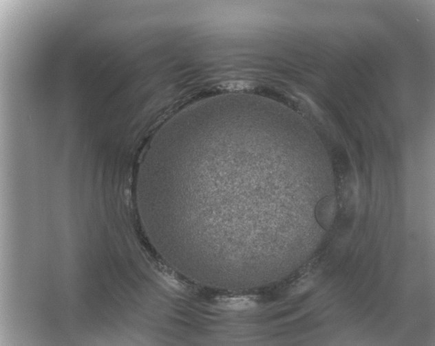 X0000067480553200604150019