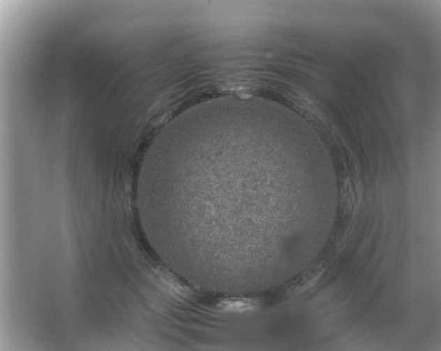 X0000067480557200604150019