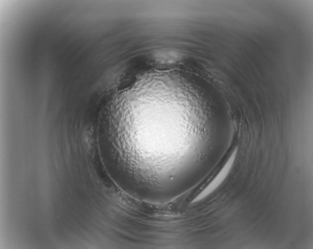 X0000067480559200604150019