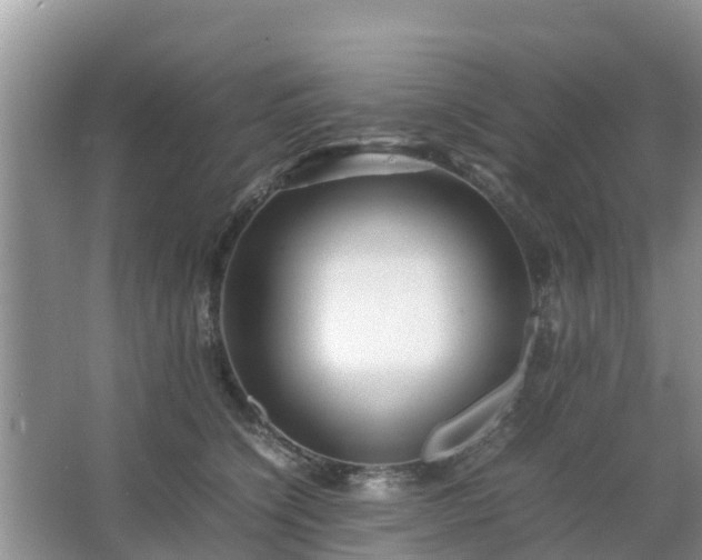 X0000067480564200604150019