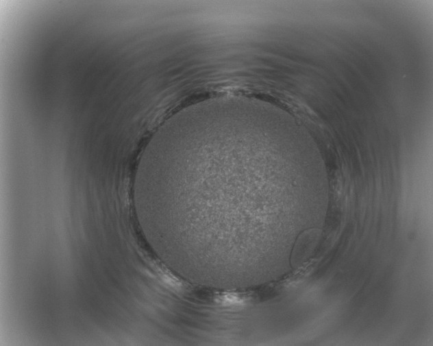 X0000067480565200604150019