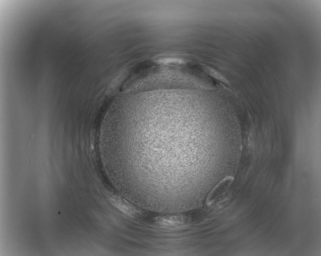 X0000067480567200604150019