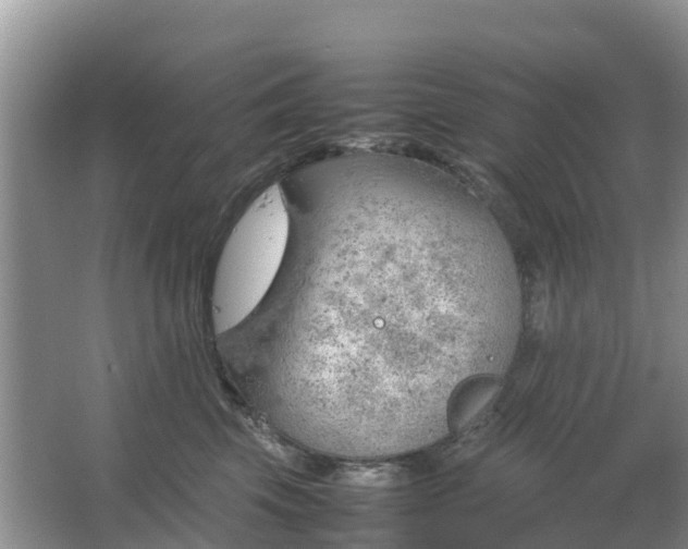 X0000067480569200604150019