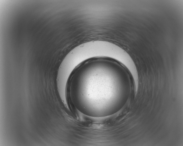 X0000067480570200604150019