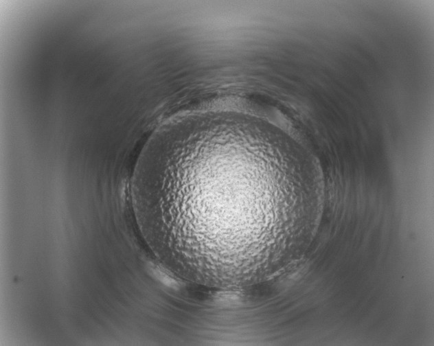 X0000067480574200604150019