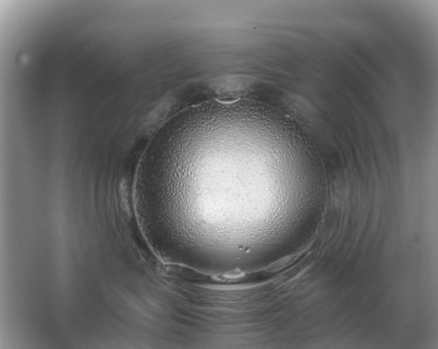 X0000067480575200604150019