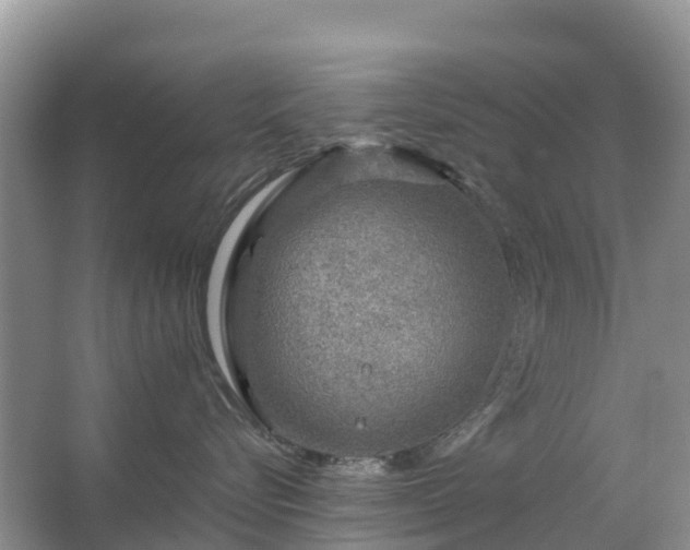 X0000067480576200604150019