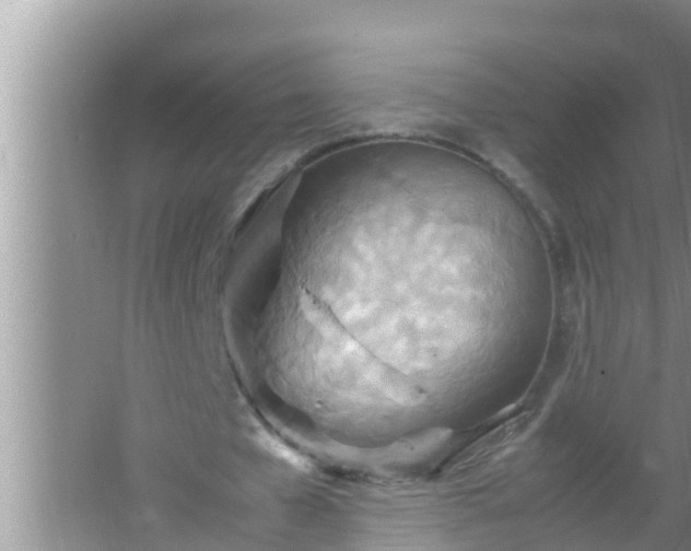 X0000067480577200604150018