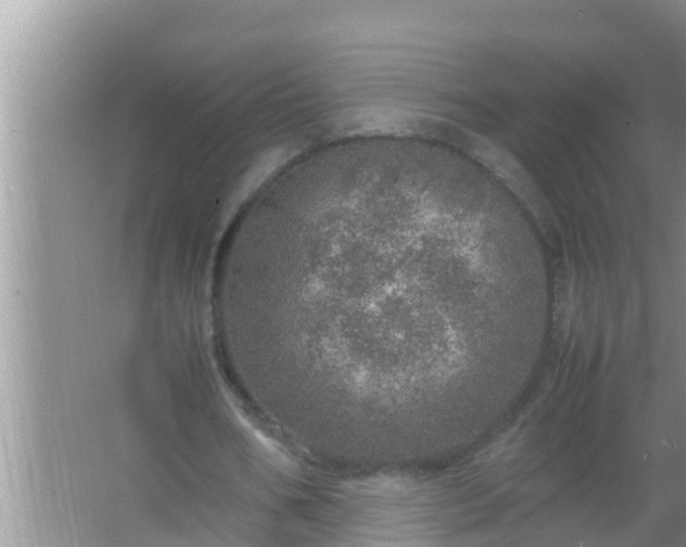 X0000067480578200604150018