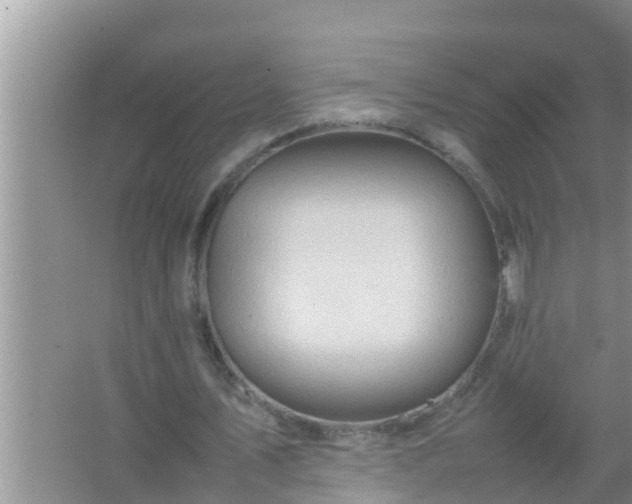 X0000067480579200604150018