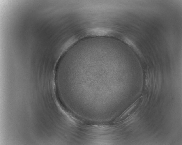 X0000067480582200604150018