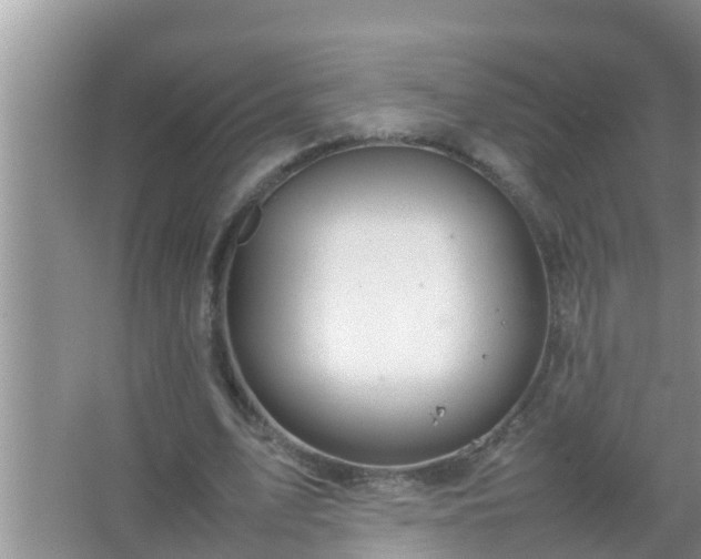 X0000067480583200604150018