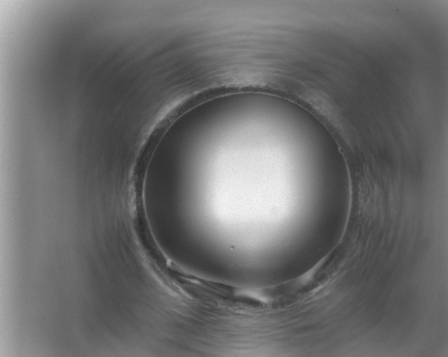 X0000067480584200604150018