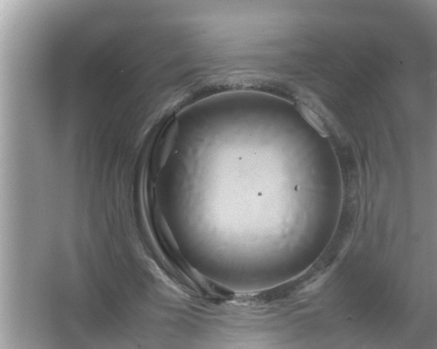 X0000067480585200604150018